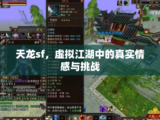 天龙sf，虚拟江湖中的真实情感与挑战