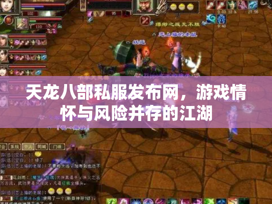 天龙八部私服发布网，游戏情怀与风险并存的江湖