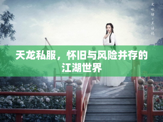 天龙私服，怀旧与风险并存的江湖世界