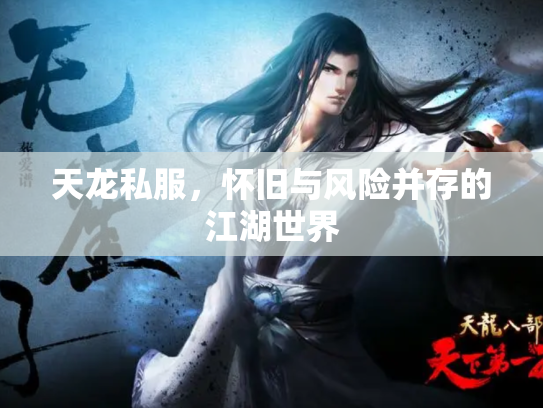 天龙私服，怀旧与风险并存的江湖世界