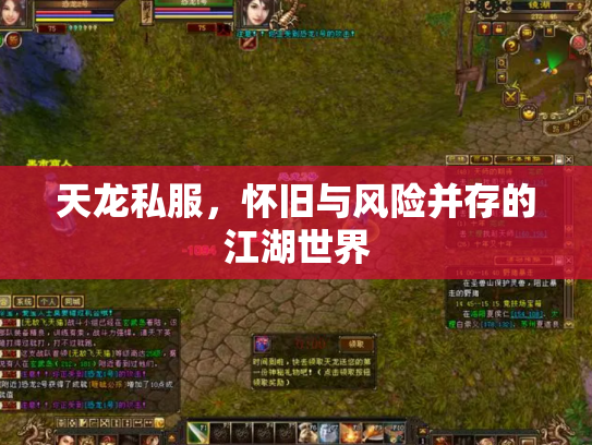 天龙私服，怀旧与风险并存的江湖世界