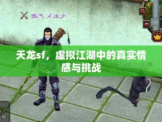 天龙sf，虚拟江湖中的真实情感与挑战