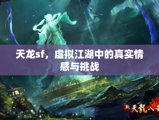 天龙sf，虚拟江湖中的真实情感与挑战