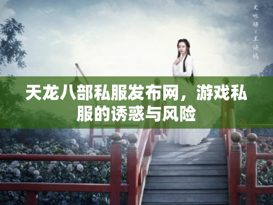 天龙八部私服发布网，游戏私服的诱惑与风险