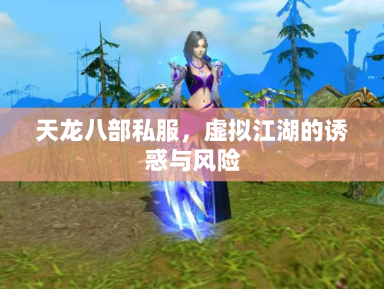 天龙八部私服，虚拟江湖的诱惑与风险