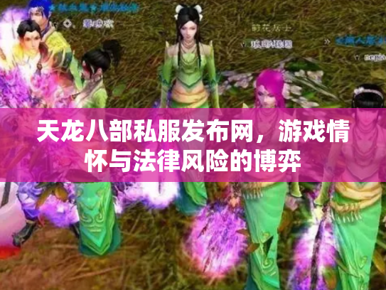 天龙八部私服发布网，游戏情怀与法律风险的博弈