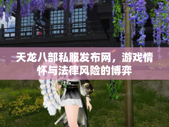 天龙八部私服发布网，游戏情怀与法律风险的博弈