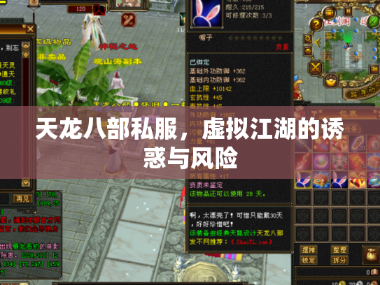 天龙八部私服，虚拟江湖的诱惑与风险