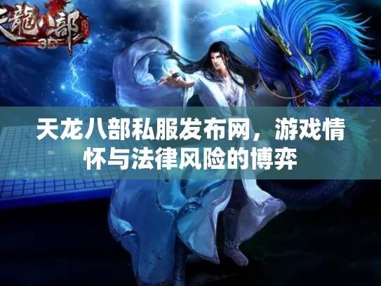 天龙八部私服发布网，游戏情怀与法律风险的博弈