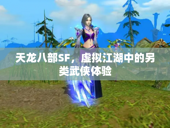 天龙八部SF，虚拟江湖中的另类武侠体验