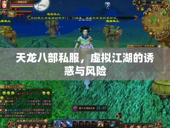 天龙八部私服，虚拟江湖的诱惑与风险