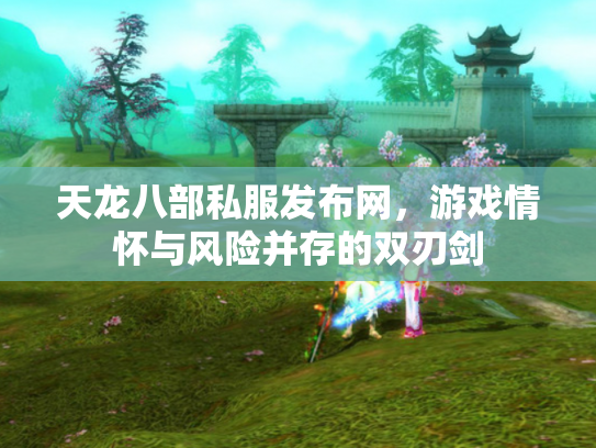 天龙八部私服发布网，游戏情怀与风险并存的双刃剑