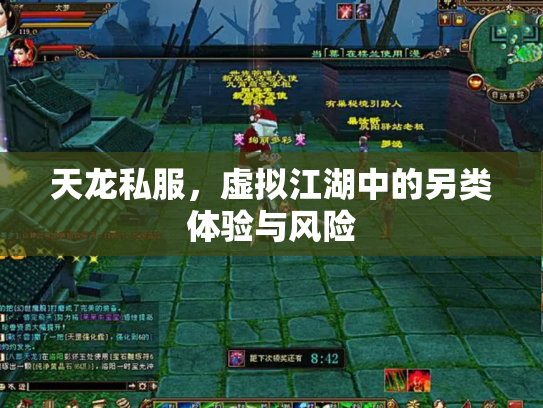 天龙私服，虚拟江湖中的另类体验与风险