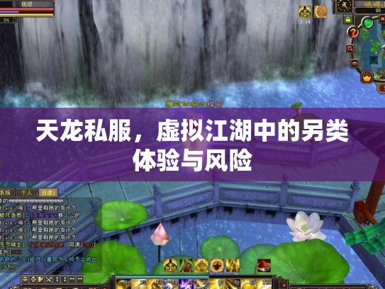 天龙私服，虚拟江湖中的另类体验与风险
