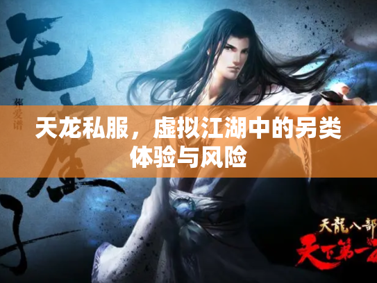 天龙私服，虚拟江湖中的另类体验与风险