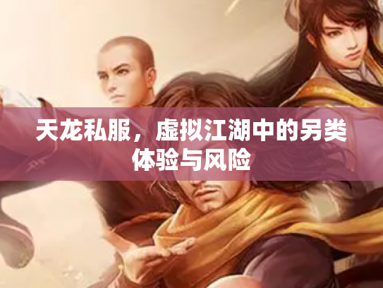 天龙私服，虚拟江湖中的另类体验与风险