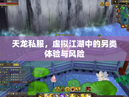 天龙私服，虚拟江湖中的另类体验与风险