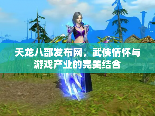 天龙八部发布网，武侠情怀与游戏产业的完美结合