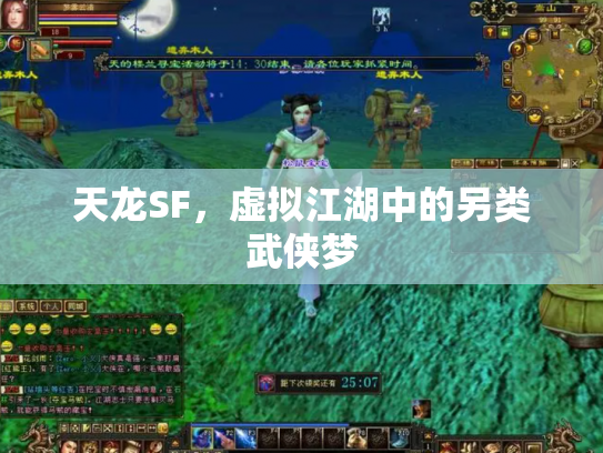 天龙SF，虚拟江湖中的另类武侠梦