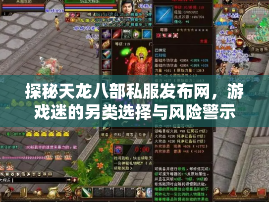 探秘天龙八部私服发布网，游戏迷的另类选择与风险警示