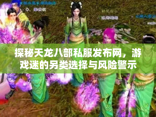 探秘天龙八部私服发布网，游戏迷的另类选择与风险警示