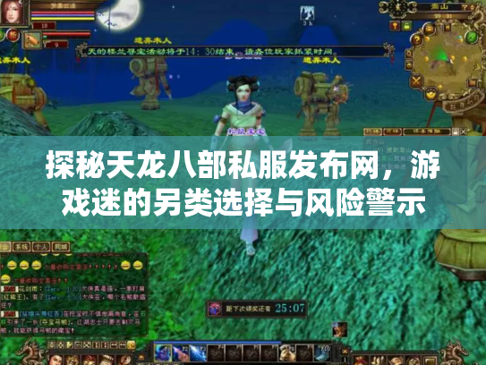 探秘天龙八部私服发布网，游戏迷的另类选择与风险警示