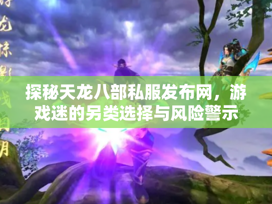 探秘天龙八部私服发布网，游戏迷的另类选择与风险警示