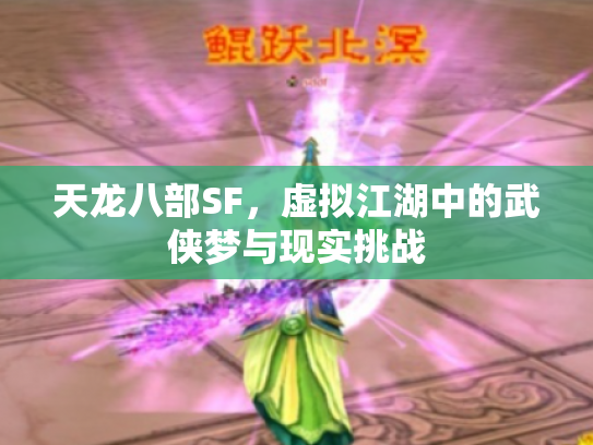 天龙八部SF，虚拟江湖中的武侠梦与现实挑战