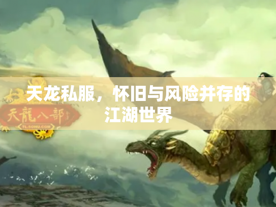天龙私服，怀旧与风险并存的江湖世界