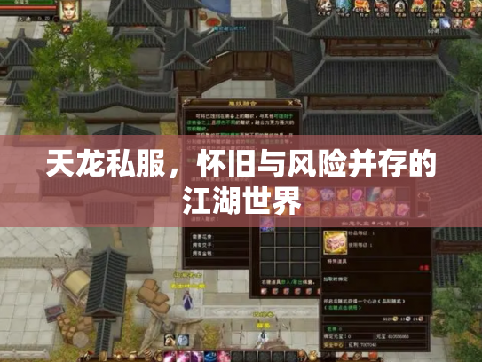 天龙私服，怀旧与风险并存的江湖世界
