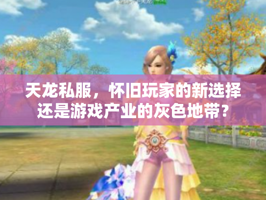 天龙私服，怀旧玩家的新选择还是游戏产业的灰色地带？
