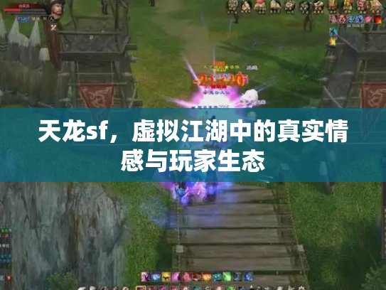 天龙sf，虚拟江湖中的真实情感与玩家生态