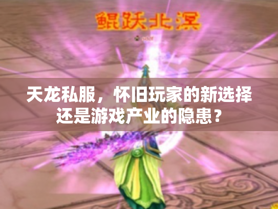 天龙私服，怀旧玩家的新选择还是游戏产业的隐患？