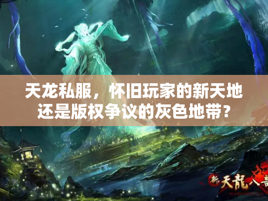 天龙私服，怀旧玩家的新天地还是版权争议的灰色地带？