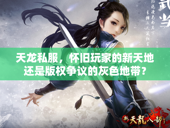 天龙私服，怀旧玩家的新天地还是版权争议的灰色地带？