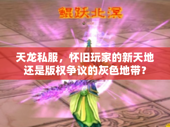 天龙私服，怀旧玩家的新天地还是版权争议的灰色地带？