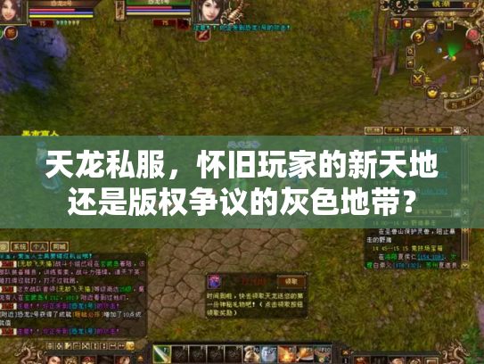 天龙私服，怀旧玩家的新天地还是版权争议的灰色地带？