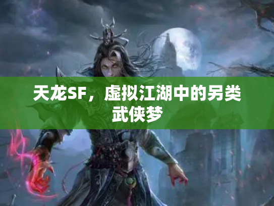 天龙SF，虚拟江湖中的另类武侠梦