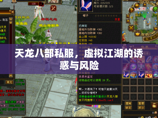天龙八部私服，虚拟江湖的诱惑与风险