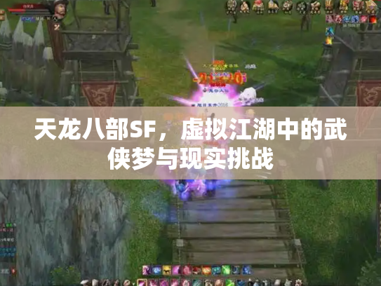 天龙八部SF，虚拟江湖中的武侠梦与现实挑战