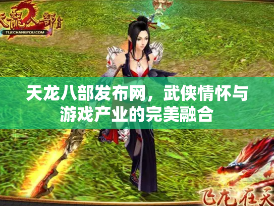 天龙八部发布网，武侠情怀与游戏产业的完美融合