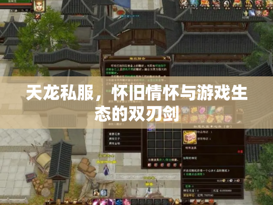 天龙私服，怀旧情怀与游戏生态的双刃剑