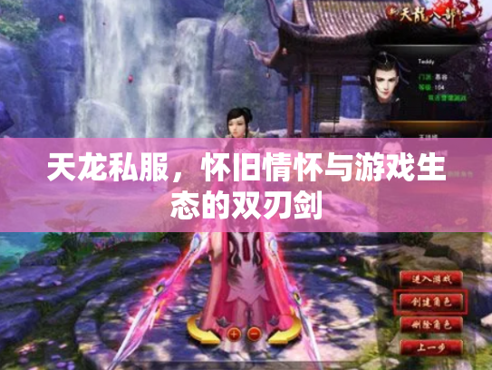 天龙私服，怀旧情怀与游戏生态的双刃剑