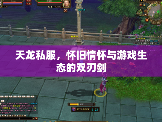 天龙私服，怀旧情怀与游戏生态的双刃剑