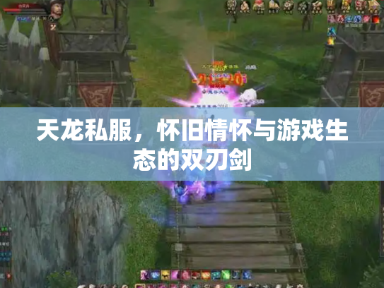 天龙私服，怀旧情怀与游戏生态的双刃剑