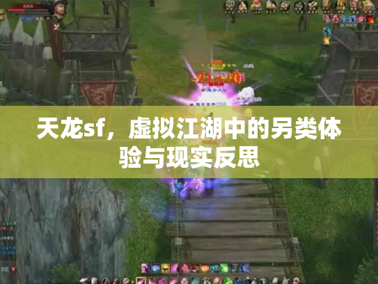 天龙sf，虚拟江湖中的另类体验与现实反思