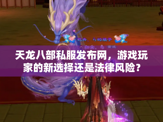 天龙八部私服发布网，游戏玩家的新选择还是法律风险？