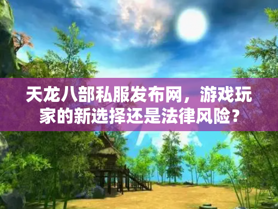 天龙八部私服发布网，游戏玩家的新选择还是法律风险？