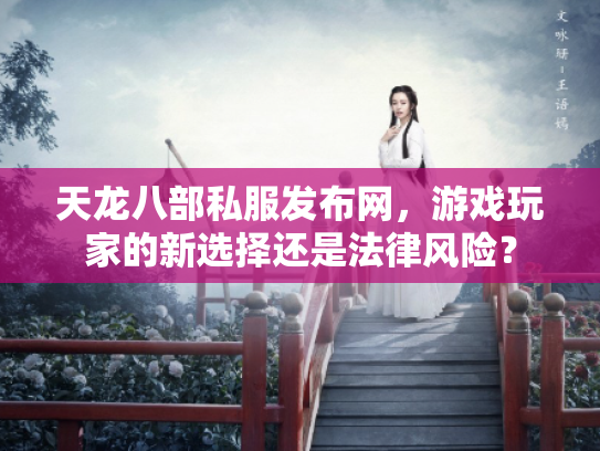 天龙八部私服发布网，游戏玩家的新选择还是法律风险？