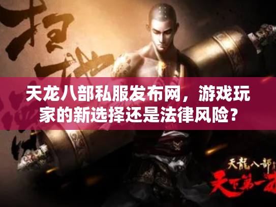 天龙八部私服发布网，游戏玩家的新选择还是法律风险？